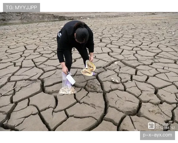特温中路现严重渗透现象，专家紧急呼吁强化城市水利管理