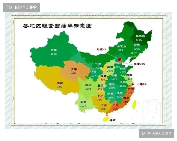 阿尔防守数据大揭秘：稳固后防线的关键因素与稳健表现解析