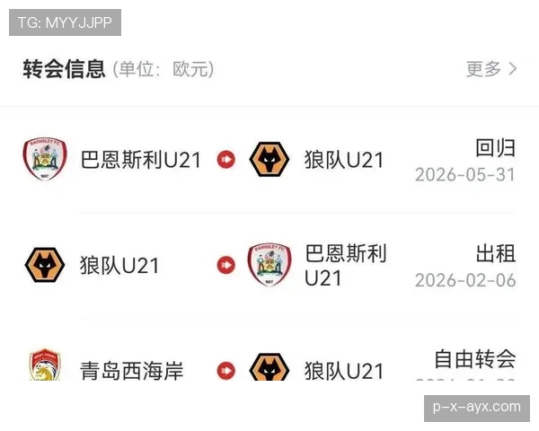 狼队攻防平衡表现稳健