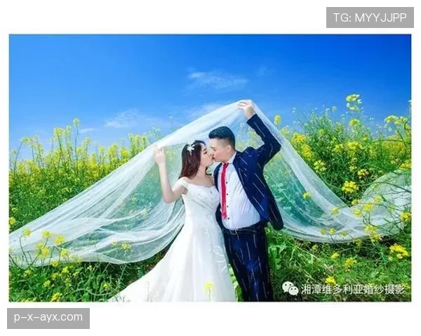 朱婷家的猫都比你我活得精致